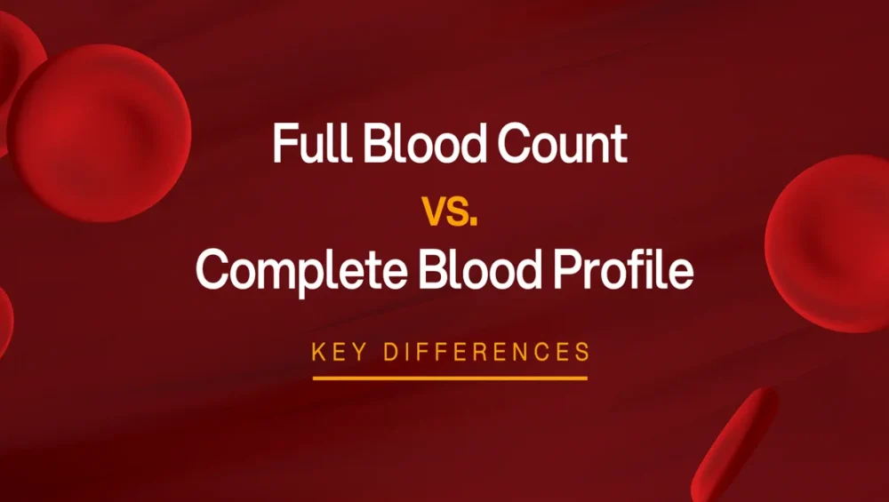 Difference Between Full Blood Count and Profile